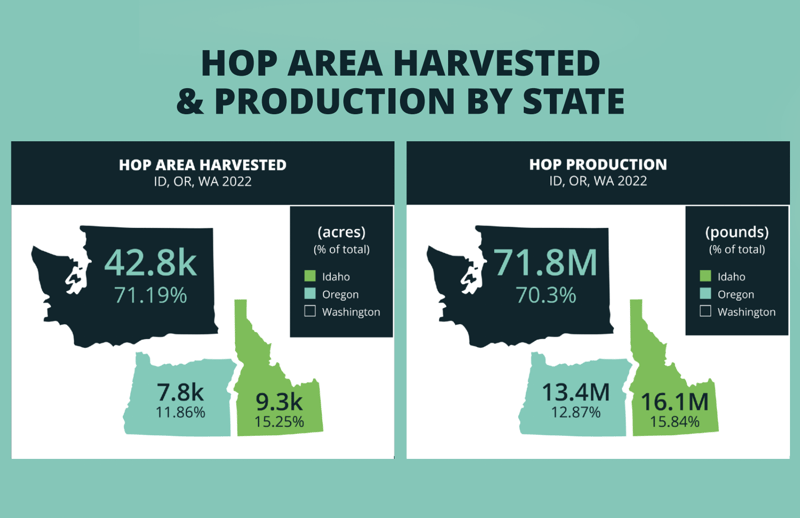 Hop Area Harvested & Production by State