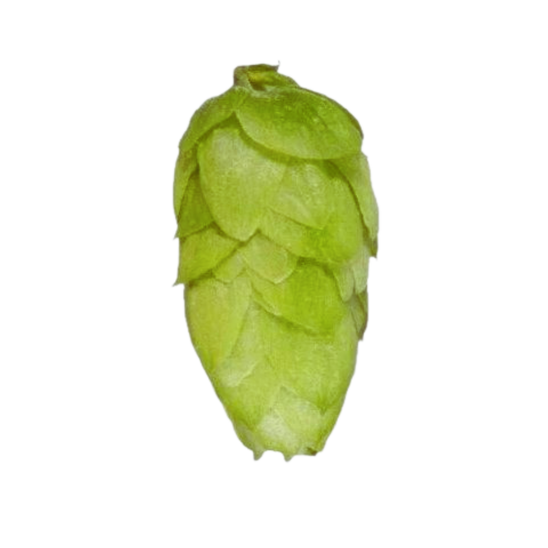 Rakau Hop Cone