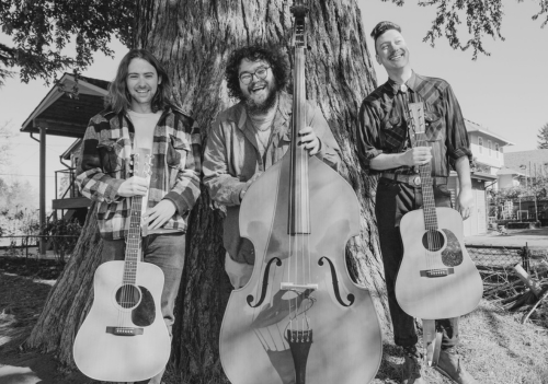 Dadweed Band