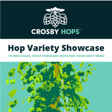 Cut Through the Haze With These 10 New-Wave Hops