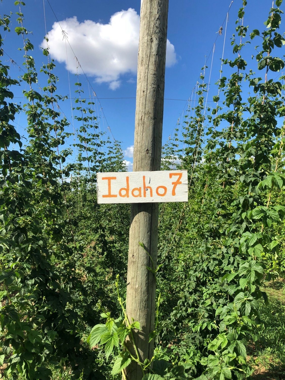 Idaho-7-Sign