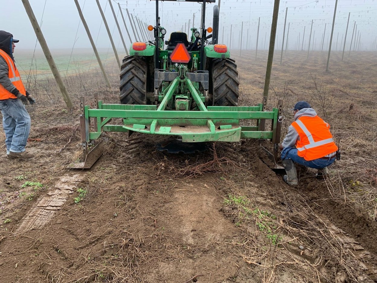 Mechanical-Pruning-Web