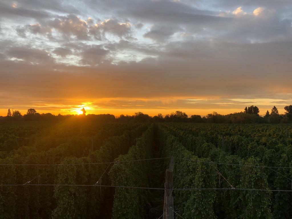 harvest-2019