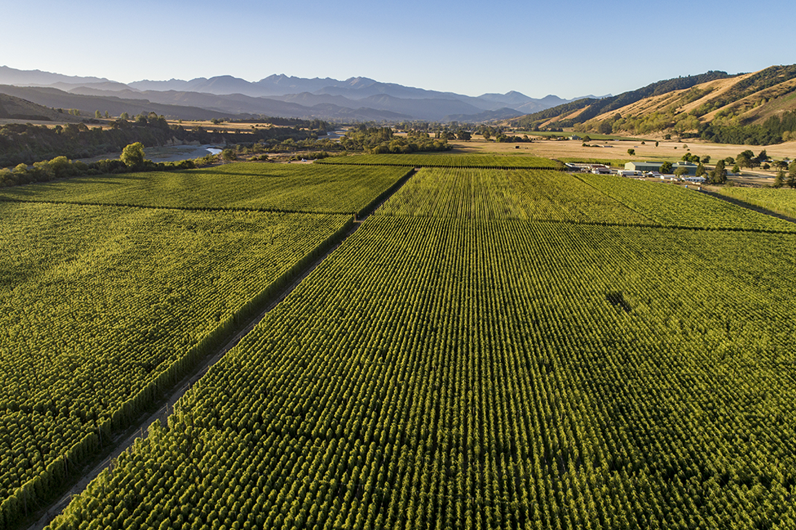 Aerial image