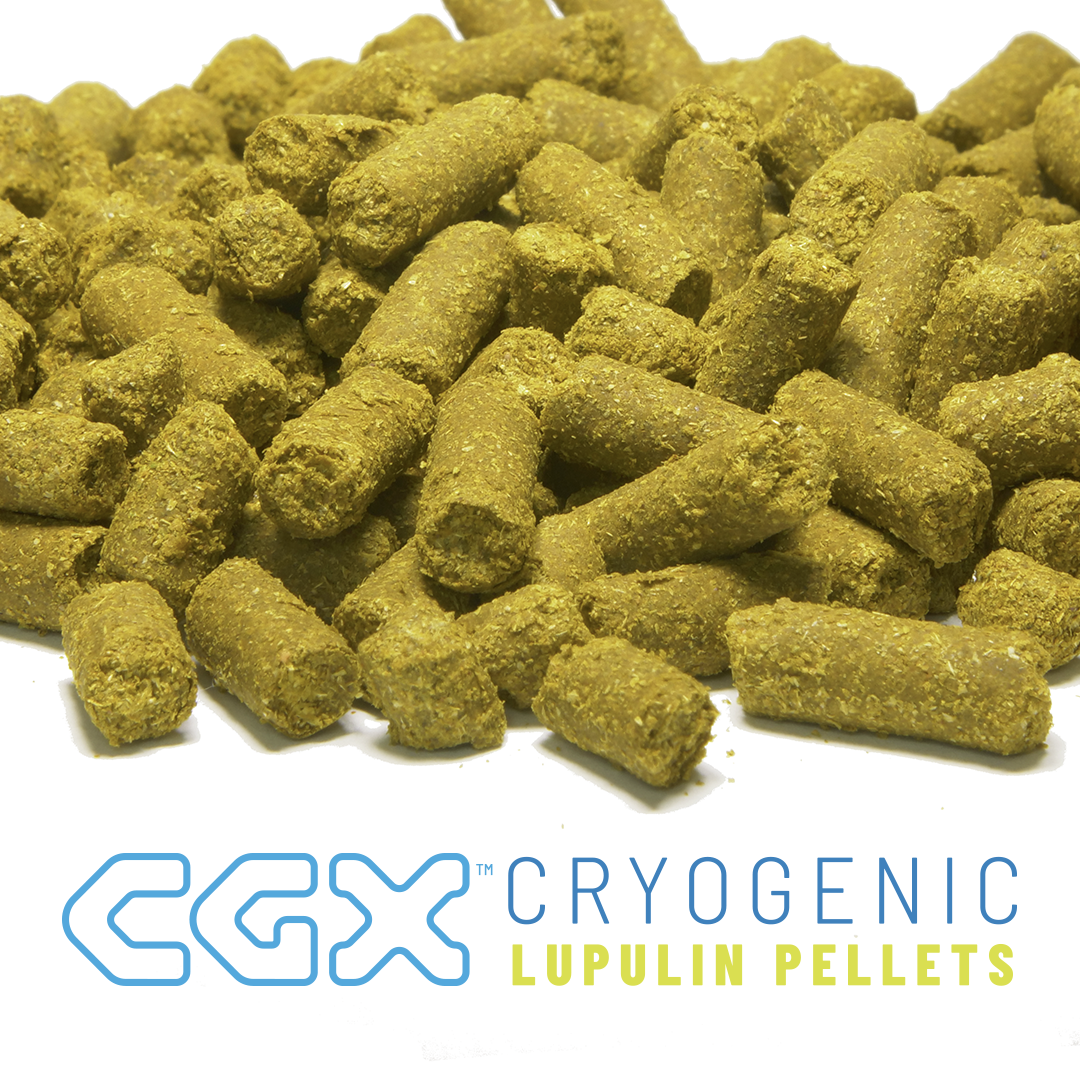 cgx_ig_square_1080x1080px_150ppi (1)