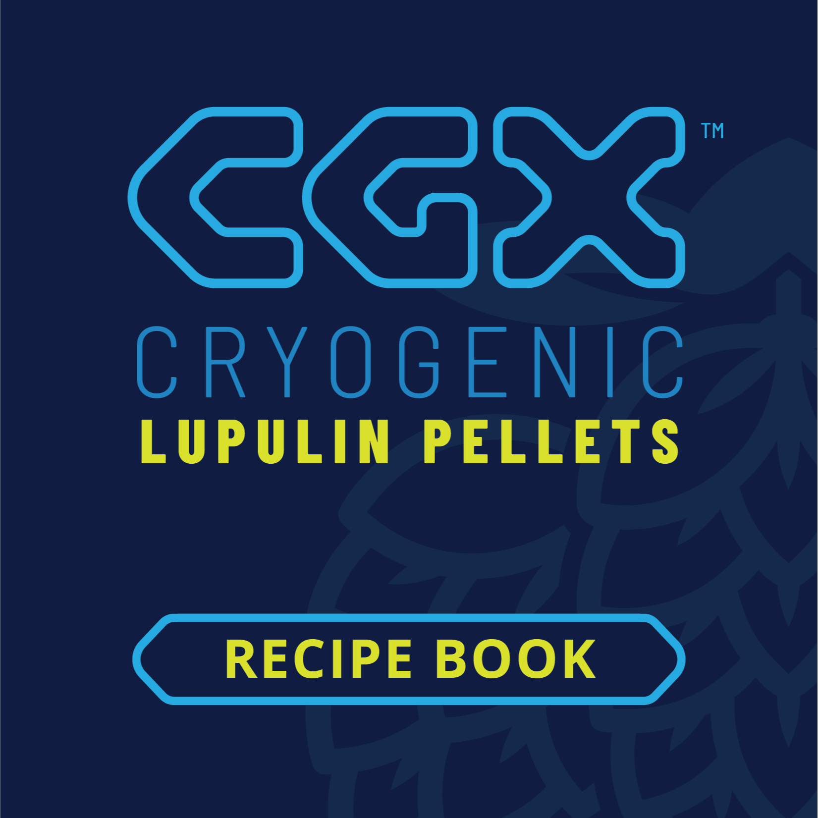 CGX recipe book IG square