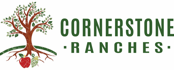 cornerstone