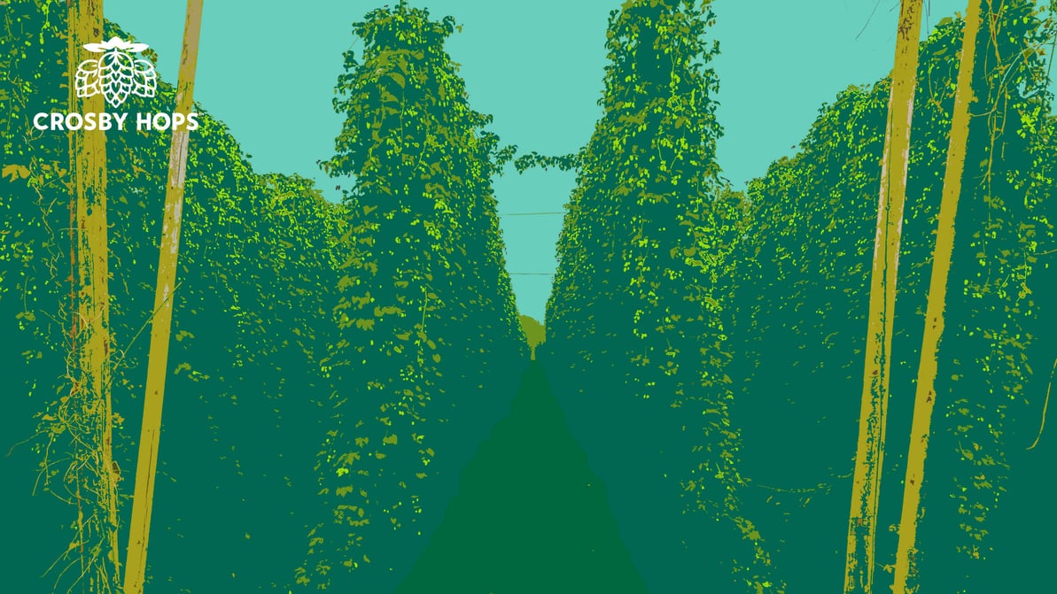 Zoom-Backdrop-2