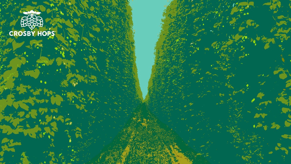 Zoom Backdrop 3