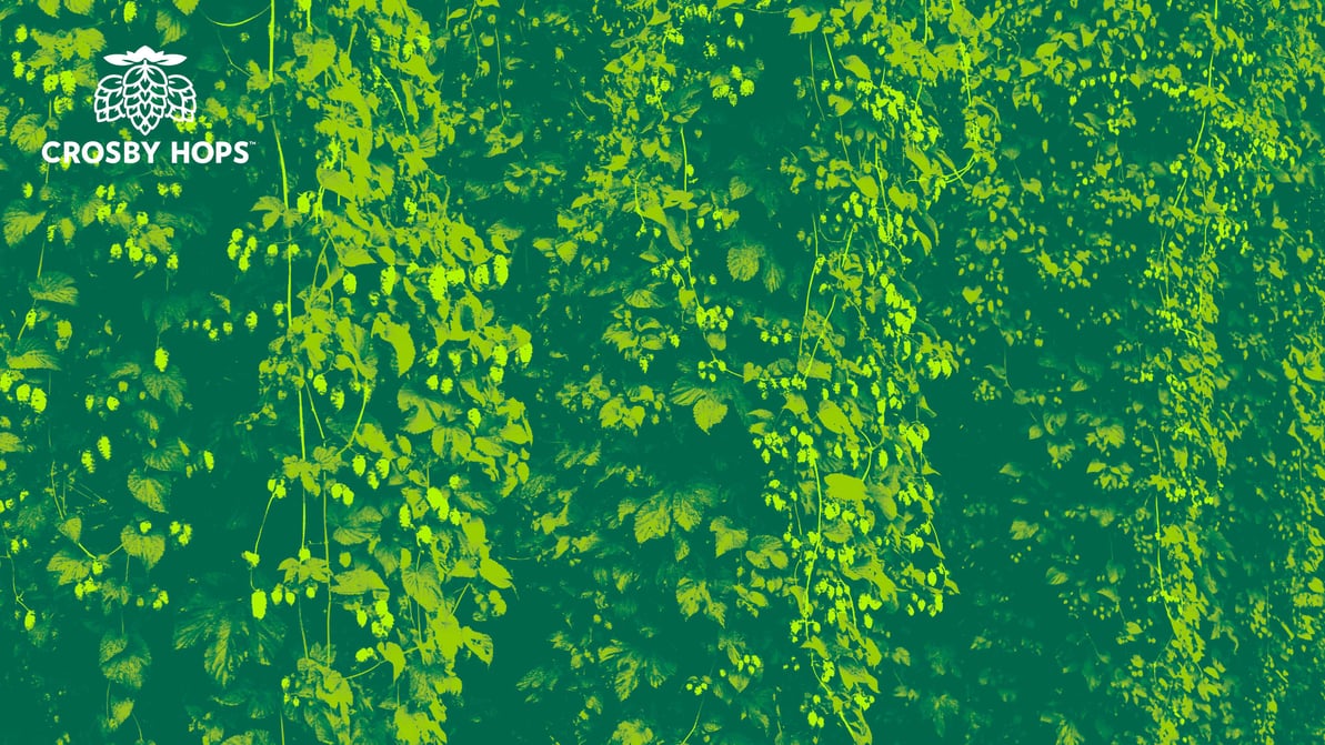Zoom-Backdrop-4