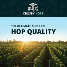 The 4 Pillars of Hop Quality