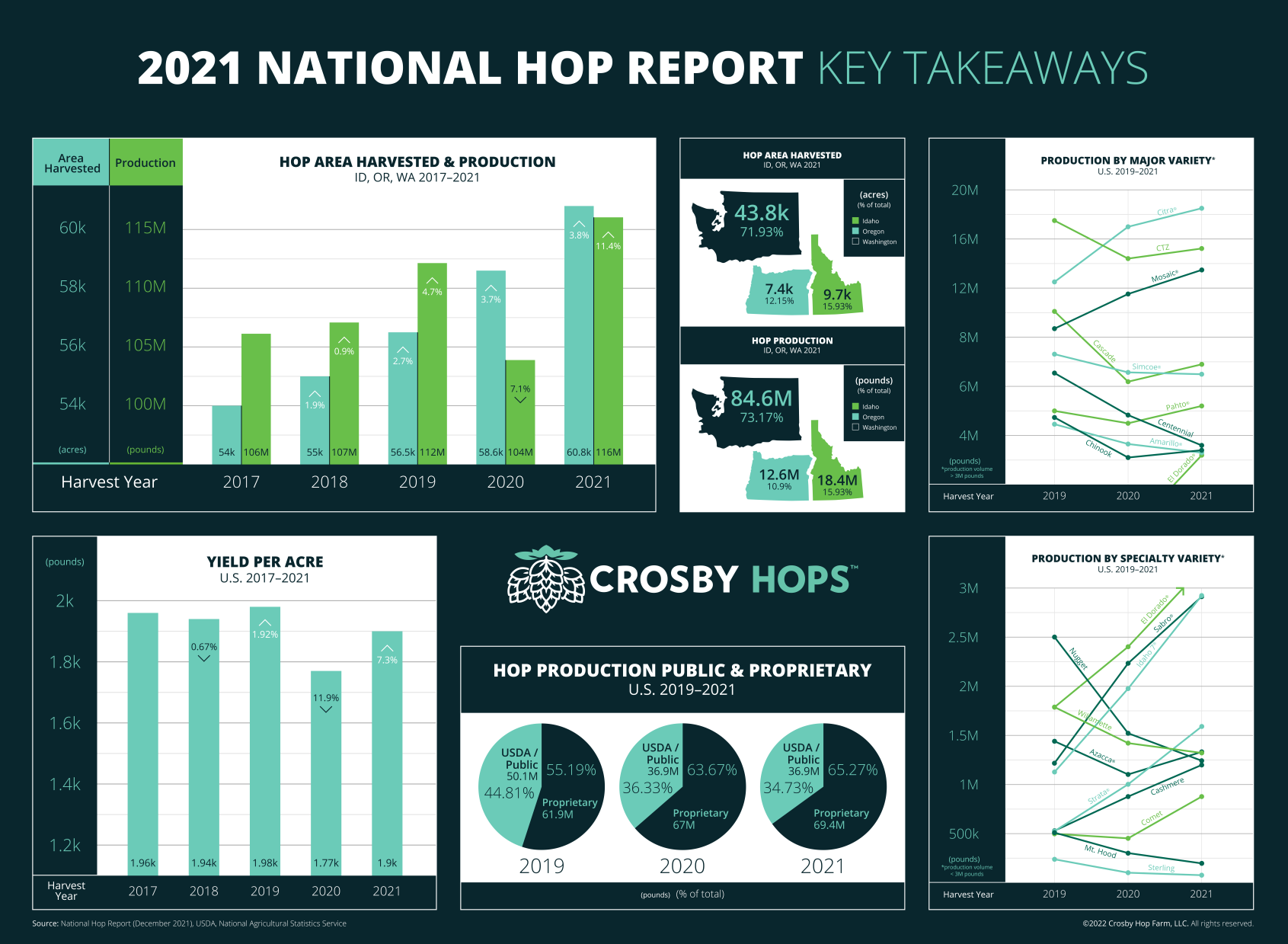 Amidst Adversity, US Hop Production Hits Record High In 2021