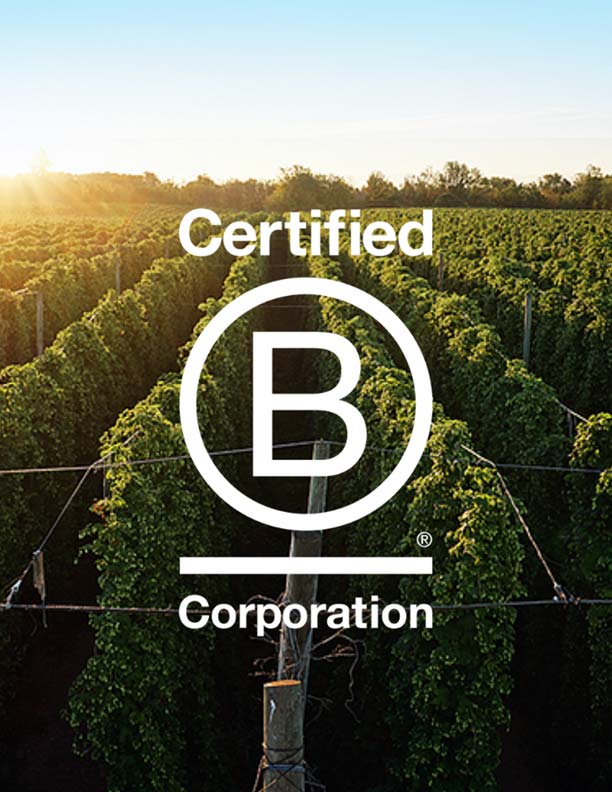 Certified B Corp image