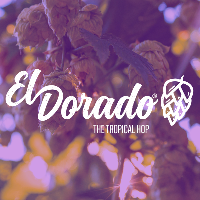 El Dorado hop logo