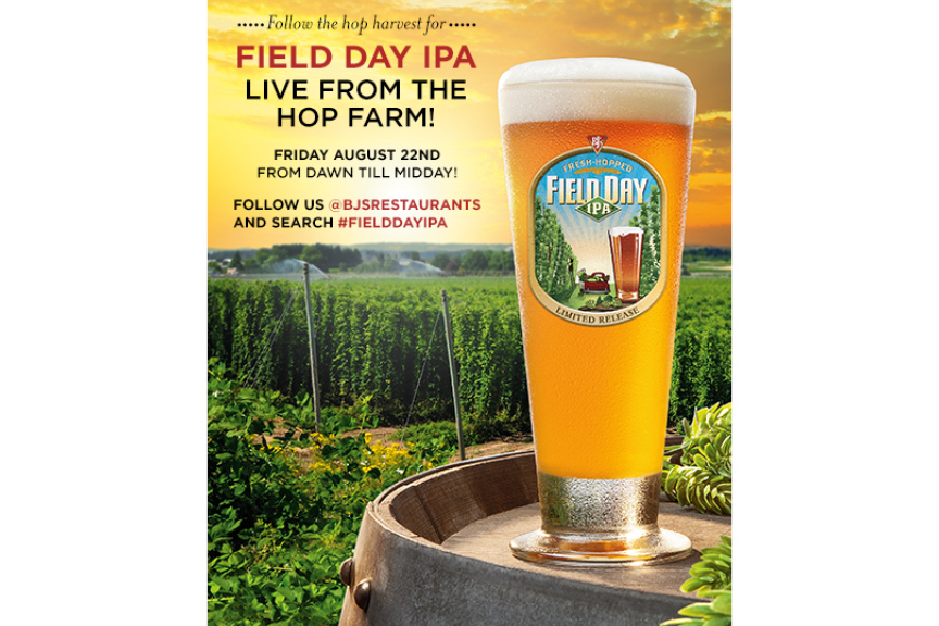 Field-Day-IPA-Hop-Harvest