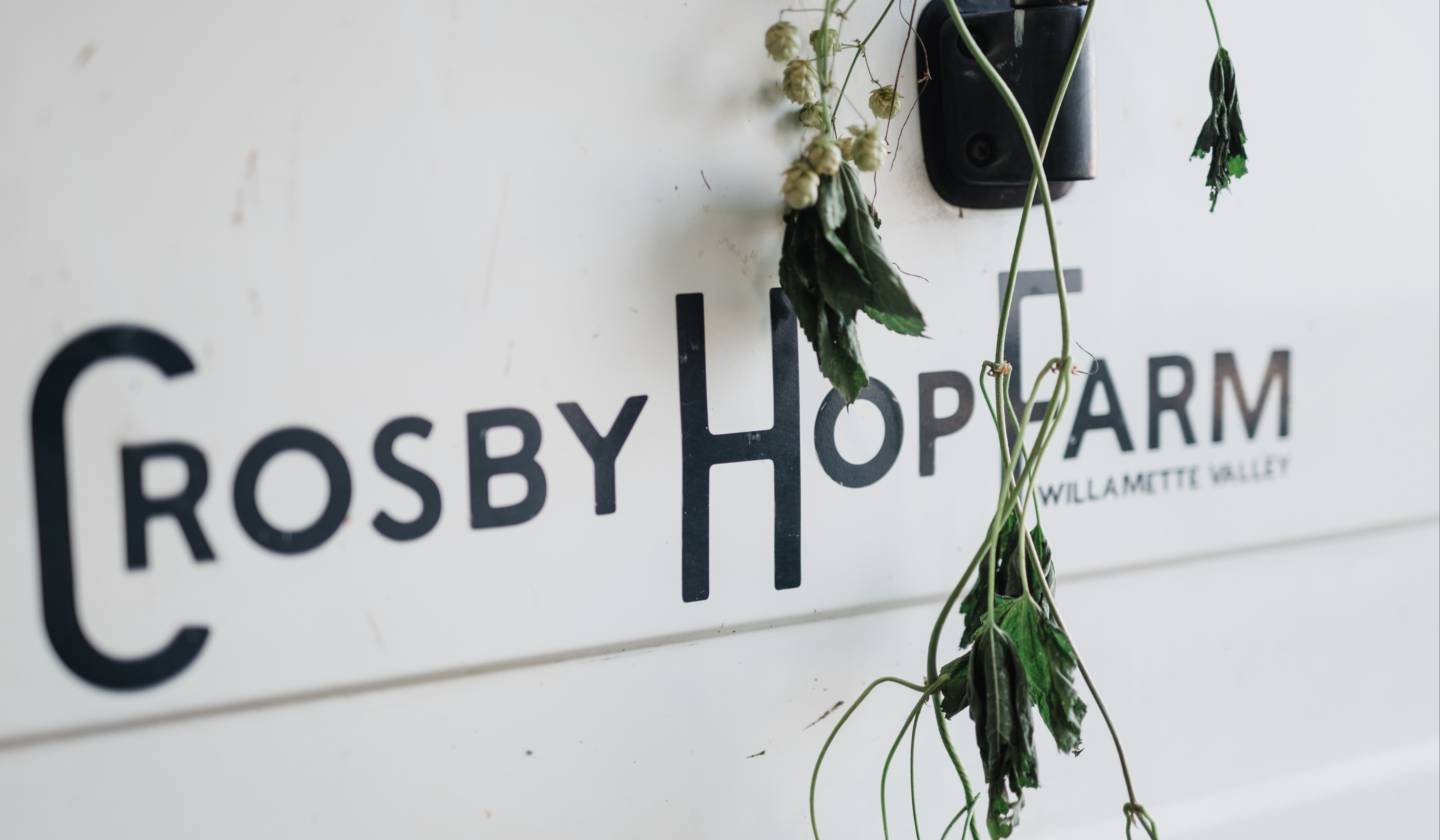 That’s a Wrap on Hop Harvest 2023 at Crosby Hop Farm
