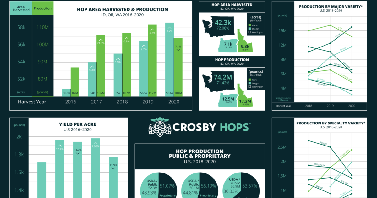 National Hop Report 2020: Overall US Hop Production Down While Proprietary Varieties Continue to Rise﻿