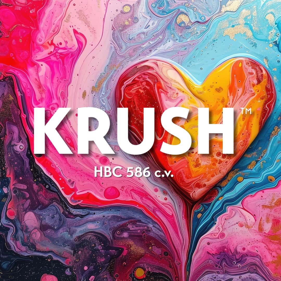 Krush hop logo