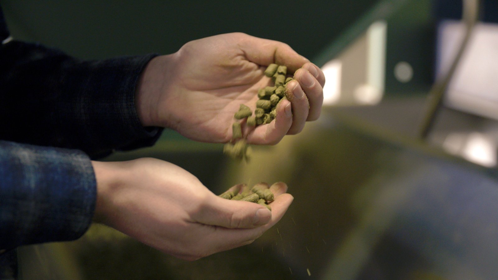 What Makes A High Quality Hop Pellet?