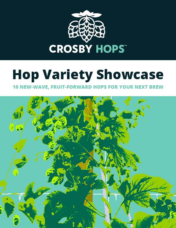 Hop Variety Showcase cover image