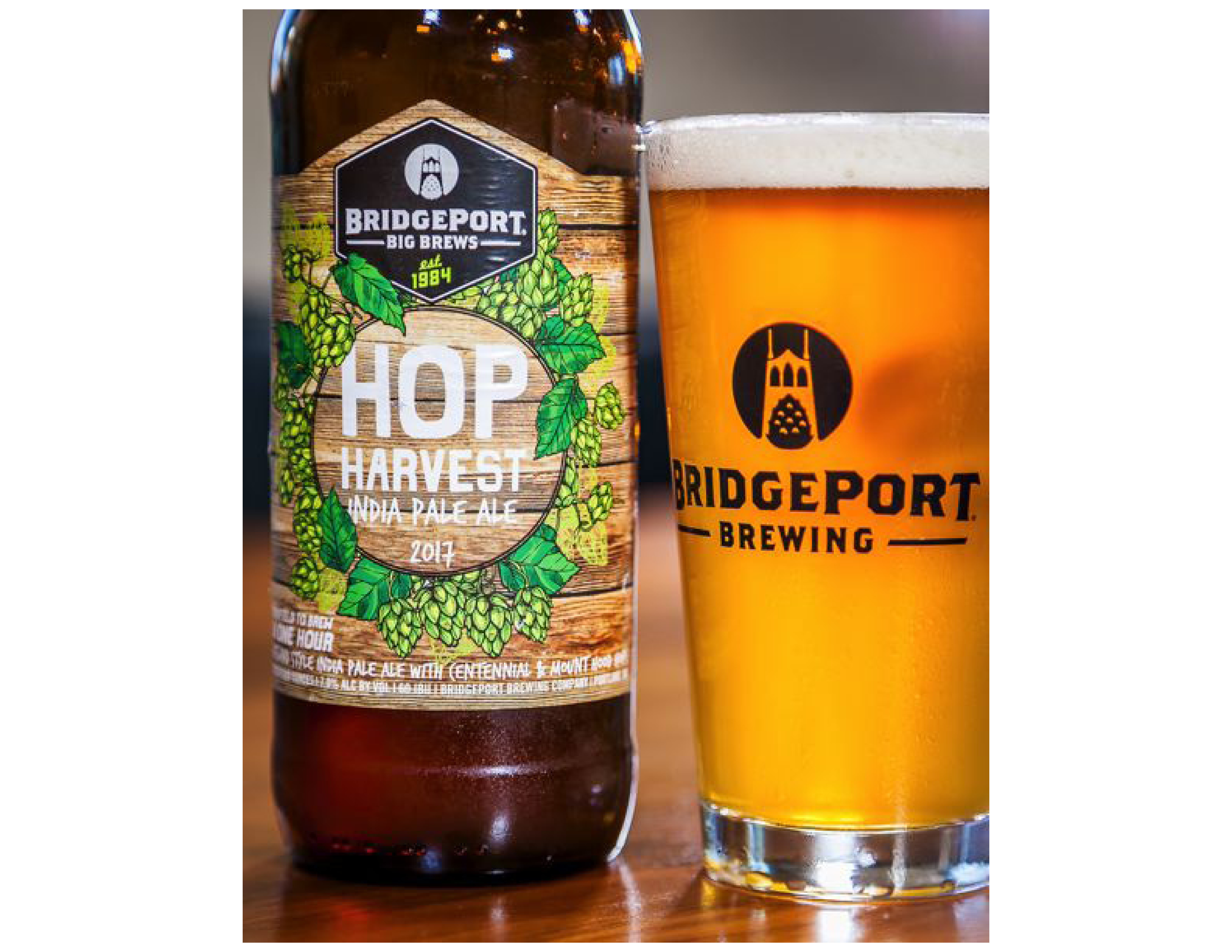 bridgeport-fresh-hop-1